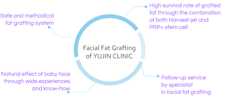 Facial Fat Grafting of YUJIN CLINIC
