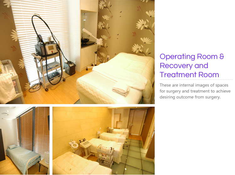 Operating Room & Recovery and Treatment Room 