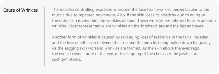 Cause of Wrinkles 